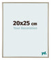 Annecy Plastic Photo Frame 20x25cm Champagne Front Size | Yourdecoration.com