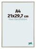 Annecy Plastic Photo Frame 21x29 7cm A4 Champagne Front Size | Yourdecoration.com