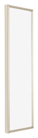 Annecy Plastic Photo Frame 25x75cm Champagne Front Oblique | Yourdecoration.com