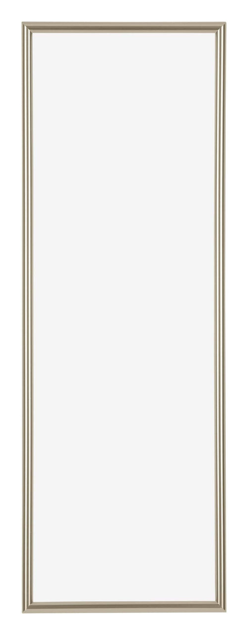 Annecy Plastic Photo Frame 25x75cm Champagne Front | Yourdecoration.com
