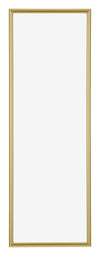Annecy Plastic Photo Frame 25x75cm Gold Front | Yourdecoration.com