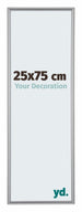 Annecy Plastic Photo Frame 25x75cm Silver Front Size | Yourdecoration.com