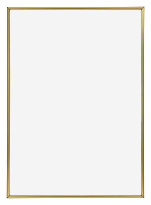 Annecy Plastic Photo Frame 29 7x42cm A3 Gold Front | Yourdecoration.com