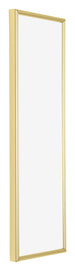 Annecy Plastic Photo Frame 33x98cm Gold Front Oblique | Yourdecoration.com