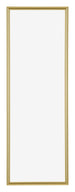 Annecy Plastic Photo Frame 33x98cm Gold Front | Yourdecoration.com