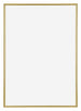 Annecy Plastic Photo Frame 35x50cm Gold Front | Yourdecoration.com