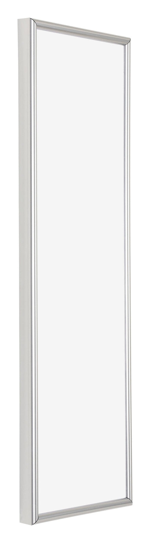 Annecy Plastic Photo Frame 37 5x98cm Silver Front Oblique | Yourdecoration.com