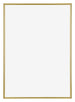 Annecy Plastic Photo Frame 42x59 4cm A2 Gold Front | Yourdecoration.com