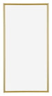Annecy Plastic Photo Frame 45x80cm Gold Front | Yourdecoration.com