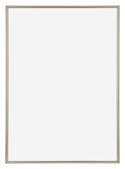 Annecy Plastic Photo Frame 48x68cm Champagne Front | Yourdecoration.com
