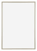 Annecy Plastic Photo Frame 48x68cm Champagne Front | Yourdecoration.com
