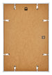 Annecy Plastic Photo Frame 62x93cm Champagne Back | Yourdecoration.com