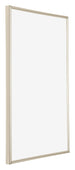 Annecy Plastic Photo Frame 62x93cm Champagne Front Oblique | Yourdecoration.com