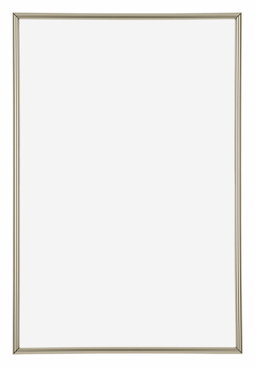 Annecy Plastic Photo Frame 62x93cm Champagne Front | Yourdecoration.com