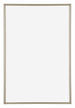 Annecy Plastic Photo Frame 62x93cm Champagne Front | Yourdecoration.com