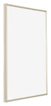Annecy Plastic Photo Frame 75x98cm Champagne Front Oblique | Yourdecoration.com