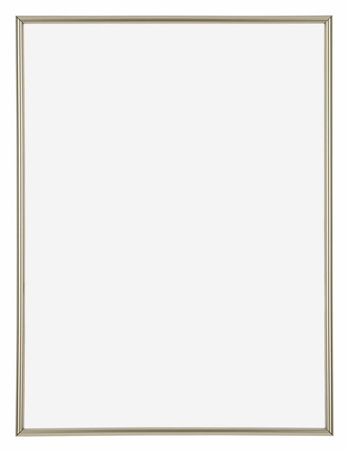 Annecy Plastic Photo Frame 75x98cm Champagne Front | Yourdecoration.com