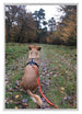 Aurora Aluminium Photo Frame 21x29 7cm A4 set of 3 Silver Front Photo | Yourdecoration.com