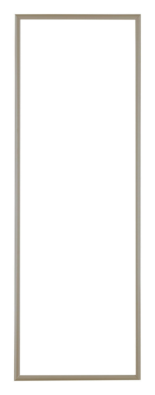 Austin Aluminium Photo Frame 20x60cm Champagne Front | Yourdecoration.com