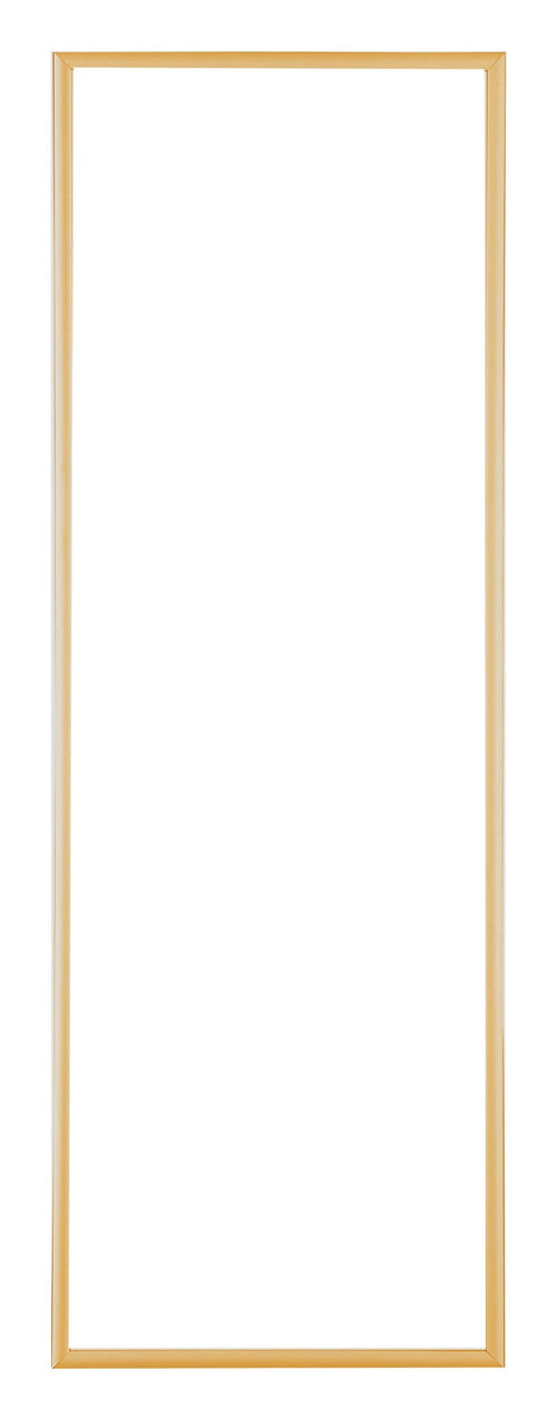 Austin Aluminium Photo Frame 20x60cm Gold Vintage Front | Yourdecoration.com