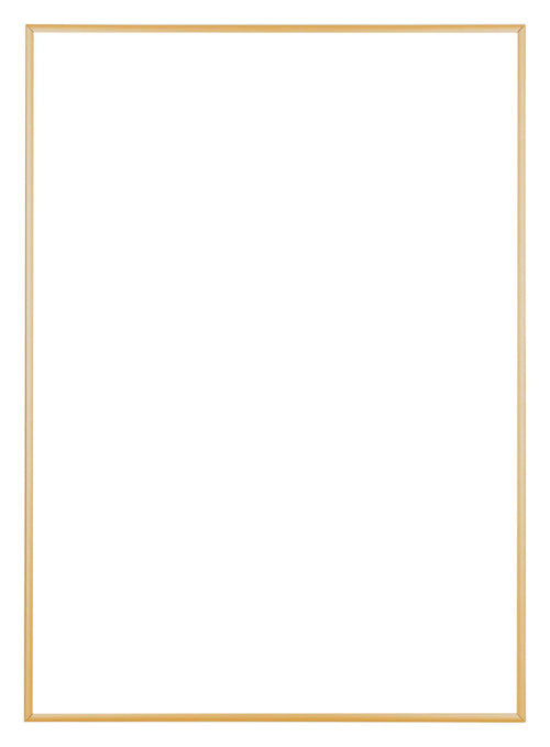 Austin Aluminium Photo Frame 29 7x42cm A3 Gold Vintage Front | Yourdecoration.com