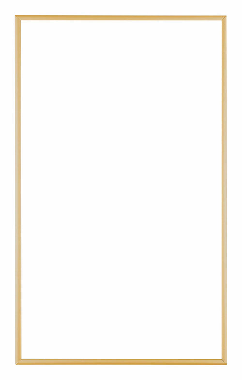 Austin Aluminium Photo Frame 30x50cm Gold Vintage Front | Yourdecoration.com