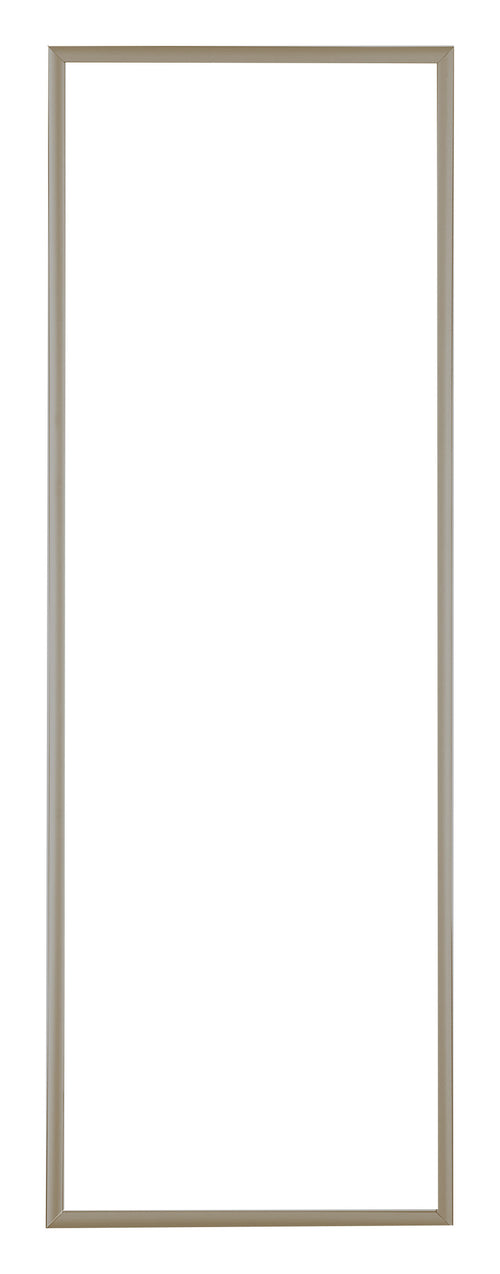 Austin Aluminium Photo Frame 33x98cm Champagne Front | Yourdecoration.com