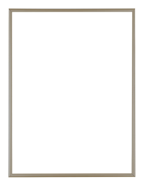 Austin Aluminium Photo Frame 46x61cm Champagne Front | Yourdecoration.com