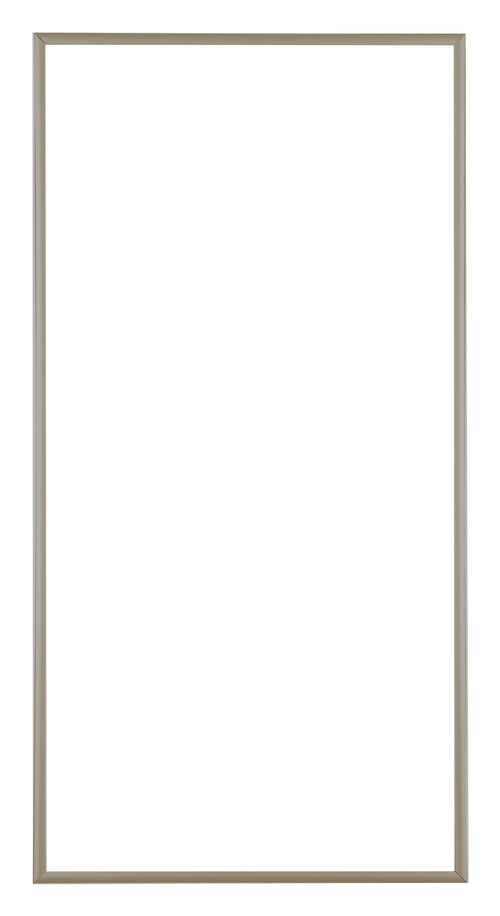 Austin Aluminium Photo Frame 50x100cm Champagne Front | Yourdecoration.com