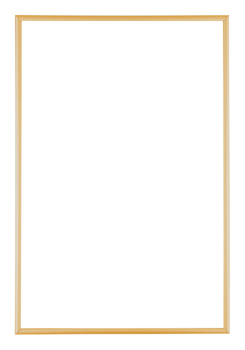 Austin Aluminium Photo Frame 50x75cm Gold Vintage Front | Yourdecoration.com