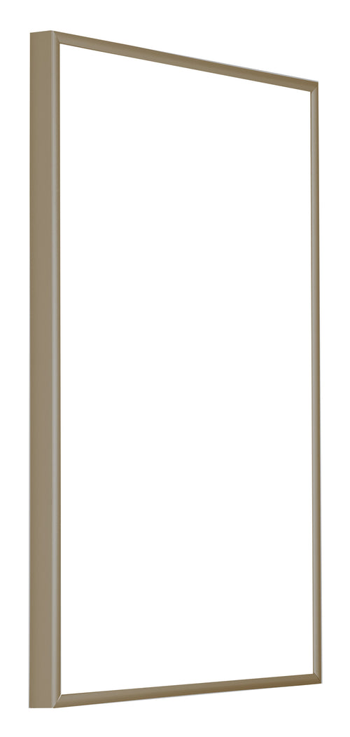 Austin Aluminium Photo Frame 60x85cm Champagne Front Oblique | Yourdecoration.com