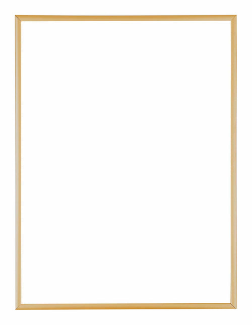 Austin Aluminium Photo Frame 75x100cm Gold Vintage Front | Yourdecoration.com