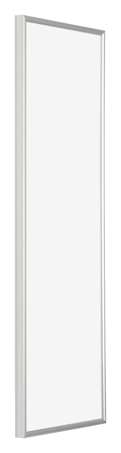 Evry Plastic Photo Frame 25x75cm Silver Front Oblique | Yourdecoration.com
