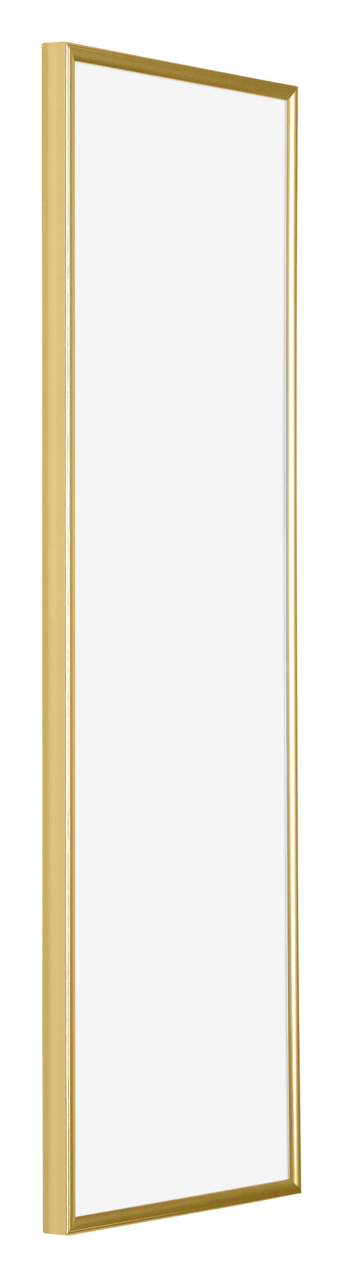 Evry Plastic Photo Frame 33x98cm Gold Front Oblique | Yourdecoration.com