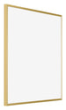 Evry Plastic Photo Frame 50x50cm Gold Front Oblique | Yourdecoration.nl