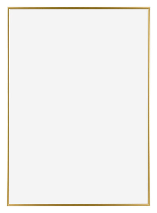 Evry Plastic Photo Frame 59 4x84cm A1 Gold Front | Yourdecoration.nl
