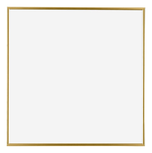 Evry Plastic Photo Frame 70x70cm Gold Front | Yourdecoration.nl