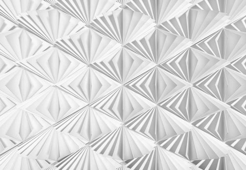 Komar Delta Wall Mural 368x254cm | Yourdecoration.com
