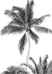 Komar Non Woven Wall Mural Iax4 0011 Retro Palm | Yourdecoration.com