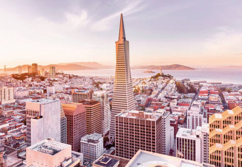 Komar San Francisco Morning Wall Mural 368x254cm | Yourdecoration.com