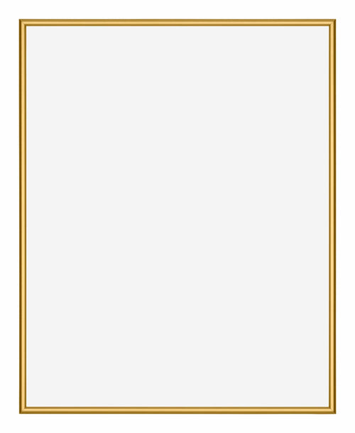 New York Aluminium Photo Frame 40x50cm Gold Shiny Front | Yourdecoration.com