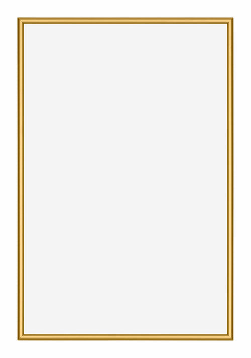 New York Aluminium Photo Frame 40x60cm Gold Shiny Front | Yourdecoration.com