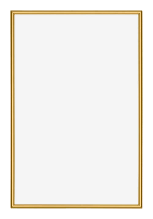 New York Aluminium Photo Frame 60x85cm Gold Shiny Front | Yourdecoration.com