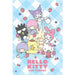 Poster Hello Kitty Sweets 61x91 5cm PP2404711 | Yourdecoration.com