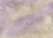 Wall Mural Lavender clouds 350x250cm FLX7 009 | Yourdecoration.com