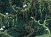Wall Mural Orch Idee 350x250cm FLX7 019 | Yourdecoration.com