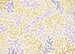 Wall Mural Sage Flip 350x250cm FLX7 016 | Yourdecoration.com