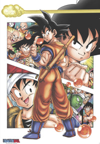 Dragon Ball Db Son Goku Story Poster 61X91 5cm | Yourdecoration.com