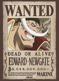 Abystyle Gbydco263 One Piece Wanted Whitebeard Poster 38x52cm | Yourdecoration.com