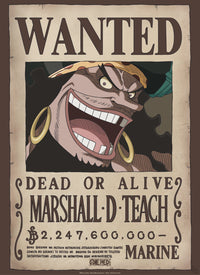 Abystyle Gbydco267 One Piece Wanted Blackbeard Poster 38x52cm | Yourdecoration.com